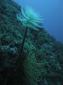 IMG_4156 r1